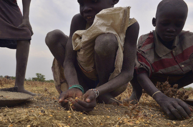 Food crisis response