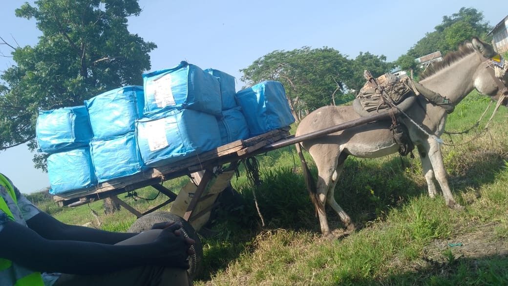 A donkey cart loaded with bales of long-lasting insecticidal nets in Fashoda.